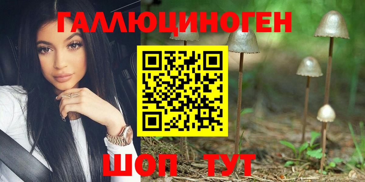 Камышлов  Псилоцибиновые грибы прущие грибы  Вход с VPN 